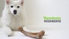 Benebone Bacon Flavor Wishbone Tough Dog Chew Toy