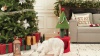 Show in main carousel: Yitahome 32-in Christmas Cat Tree & Condo slide 7 of 7