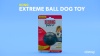 Show in main carousel: KONG Extreme Ball Dog Toy, Medium slide 8 of 10
