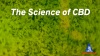 CBD science video