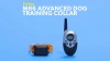 Show in main carousel: PetSpy M86 3300-ft Advanced Remote Dog Training Collar, 2 collars slide 10 of 12