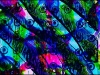 Neti Neti Part I thumbnail
