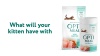 Show in main carousel: Optimeal Vital Nurture Kitten Chicken & Rice Recipe Dry Cat Food, 1.4-lb carton tube, case of 2 slide 4 of 4