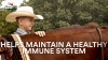 Show in main carousel: Manna Pro Simply Flax Skin & Coat Horse Supplement, 8-lb bag slide 8 of 9