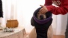 Show in main carousel: NANAKI Waterproof Dog Coat, Army Green, Small slide 8 of 8