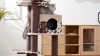 Show in main carousel: Petpals 50-in Cat Tree with Large Condo & Top Perch, Rustic Brown slide 10 of 10
