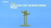 Show in main carousel: Frisco Cactus Cat Scratching Post, 31-in slide 6 of 7