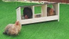 Show in main carousel: Coziwow Triple Wooden Chicken Nesting Box for Hens slide 10 of 10