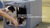 Show in main carousel: Petsfit Three Door Collapsible Soft Sided Dog & Cat Crate, Gray, 36 inch slide 9 of 10