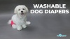 Show in main carousel: Paw Inspired Washable Female Dog Diaper, Black, Black Lining, Small, 3 count slide 9 of 10