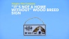 Show in main carousel: Imagine This Company "It's Not a Home Without" Wood Breed Sign, Dachshund slide 5 of 6