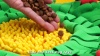 Show in main carousel: Nocciola Rosted Veggies Squeaky Interactive Snuffle Feeding Mat Dog Toy slide 8 of 9