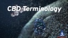 CBD - Terminology Video