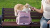 Show in main carousel: Petsfit Airline Approved Backpack Dog & Cat Carrier, Purple slide 9 of 9