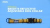 Show in main carousel: K9 Explorer Brights Reflective Dog Collar, Meadow, 8 to 12-in neck, 5/8-in wide slide 6 of 7