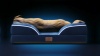 Show in main carousel: Bedsure Orthopedic Bolster Dog Sofa Bed with Removable Cover, Self Warming-Grey, Large slide 9 of 10