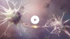 How it works video: The mechanisms of VMS in the thermoregulatory center of the hypothalamus.