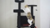 Show in main carousel: Coziwow Gothic Style 64-in Cat Tree Tower, Black slide 11 of 12