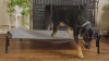 Show in main carousel: Veehoo Outdoor Elevated Dog Bed, Sky Grey, Large slide 10 of 11