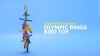 Show in main carousel: Super Bird Creations Olympic Rings Bird Toy, Large slide 10 of 11