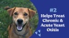 Show in main carousel: Angels' Eyes Zinc-Otic Ear Relief Treatment for Dogs & Cats, 1-fl oz bottle slide 8 of 8