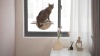Show in main carousel: Coziwow Cat Window Perch with Suction Cups, Natural Wood slide 11 of 12