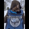 Show in main carousel: Travel Cat Fat Cat Airline Approved Bubble Backpack Cat Carrier, Charcoal slide 9 of 10