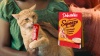 Show in main carousel: Hartz Delectables Squeeze Up Variety Pack Lickable Cat Treats, 0.5-oz tube, 10 count slide 10 of 11