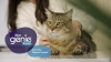 Show in main carousel: Litter Genie Plus Cat Litter Disposal System, Silver slide 11 of 13