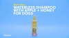 Show in main carousel: Burt's Bees Waterless Shampoo with Apple & Honey for Dogs, 10-fl oz bottle slide 6 of 8