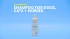 Show in main carousel: DermaBenSs Shampoo for Dogs, Cats & Horses, 12-fl oz bottle slide 7 of 8