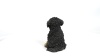 Show in main carousel: Hi-Line Gift Baby Cavapoo Statue, Chocolate, 5.91-in slide 8 of 8