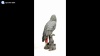 Show in main carousel: Hi-Line Gift 15.04-in Grey Gabon Parrot On Stump Outdoor Decor slide 10 of 10