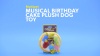 Show in main carousel: Multipet Musical Birthday Cake Plush Dog Toy slide 6 of 7