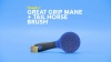 Show in main carousel: Tough1 Great Grip Mane & Tail Horse Brush, Purple slide 4 of 5