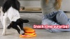 Show in main carousel: Brightkins Pupstrami Surprise! Treat Puzzle Dog Toy slide 8 of 9