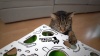 Show in main carousel: Cat Amazing Mega-Interactive Treat Maze & Puzzle Cat Toy, White slide 9 of 10