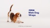 Show in main carousel: Chewy Made Disposable Male Dog Wraps (FORMERLY FRISCO), Medium: 17 to 22-in waist, 50 count slide 10 of 10