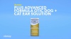 Show in main carousel: Zymox Plus Advanced Formula Otic Dog & Cat Ear Infection Solution, 1.25-fl oz bottle slide 12 of 14
