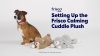 Show in main carousel: Frisco Cuddle Bear Calming Electronic Heartbeat Anxiety Relief Plush Dog Toy, X-Small/Small slide 8 of 9