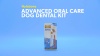 Show in main carousel: Nylabone Advanced Oral Care Original Flavor Dog Dental Kit slide 11 of 12