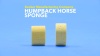 Show in main carousel: Decker Manufacturing Company Humpback Horse Sponge, Small slide 4 of 4