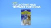 Show in main carousel: Safari Guillotine Nail Trimmer for Dogs, Small slide 11 of 12