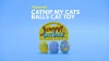 Show in main carousel: Yeowww! Catnip My Cats Balls Cat Toy, 3 count slide 5 of 6