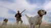 Show in main carousel: SportDOG SportTrainer 575E Remote Training Dog Collar slide 7 of 7
