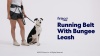 Show in main carousel: Frisco Outdoor Running Belt with Bungee Dog Leash, Black, SM slide 9 of 10
