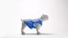Show in main carousel: GF Pet Elastofit Ice Dog Vest, X-Small slide 5 of 6