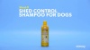 Show in main carousel: Shed-X Shed Control Shampoo for Dogs, 16-fl oz bottle slide 11 of 12