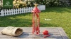 Show in main carousel: Kingsyard Squirrel-Proof Outdoor Wild Bird Feeder, Red slide 10 of 10