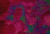 OM III 1971 silent thumbnail
